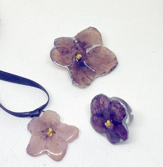 La Violeta Africana