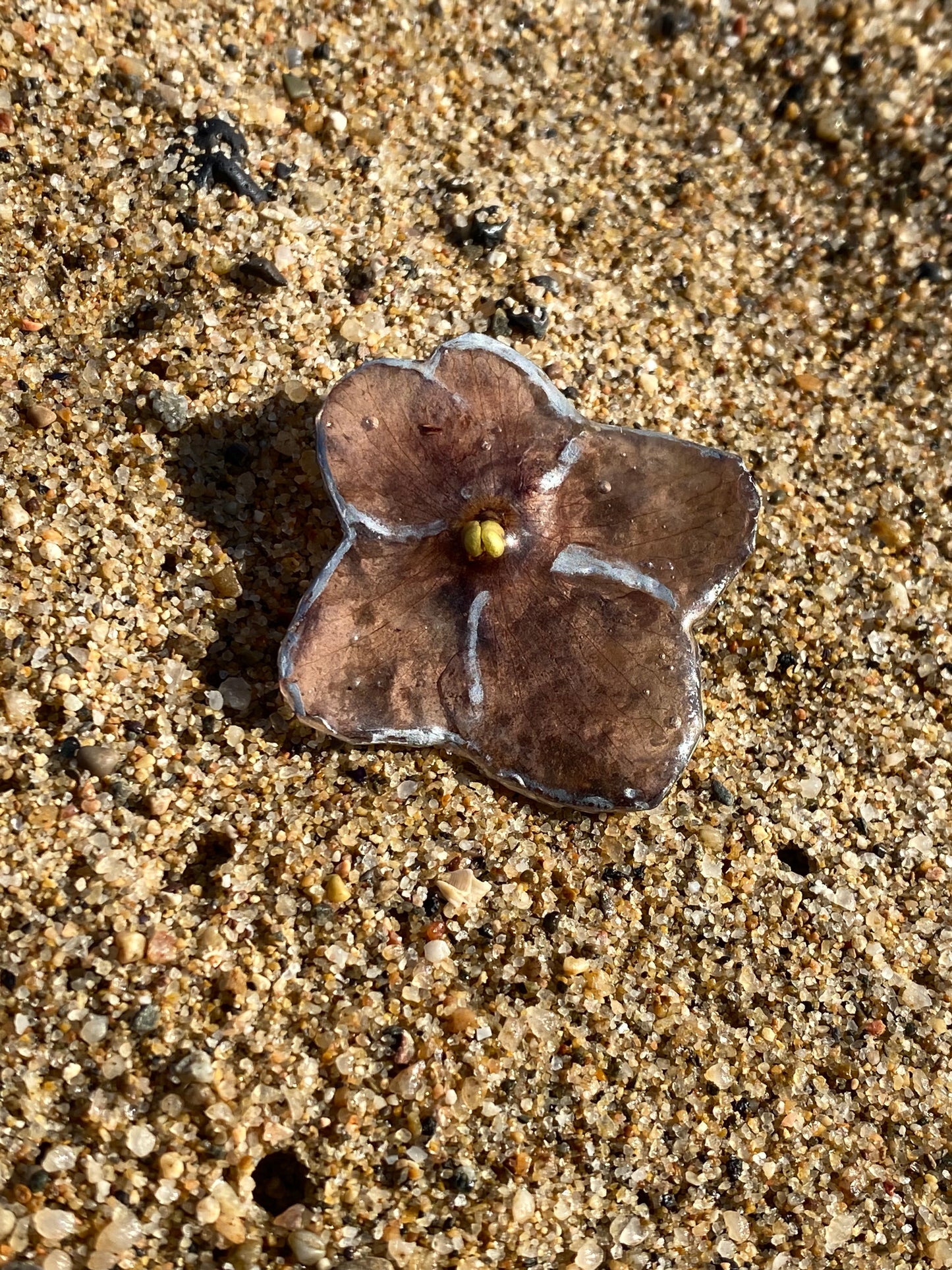 Pin violeta