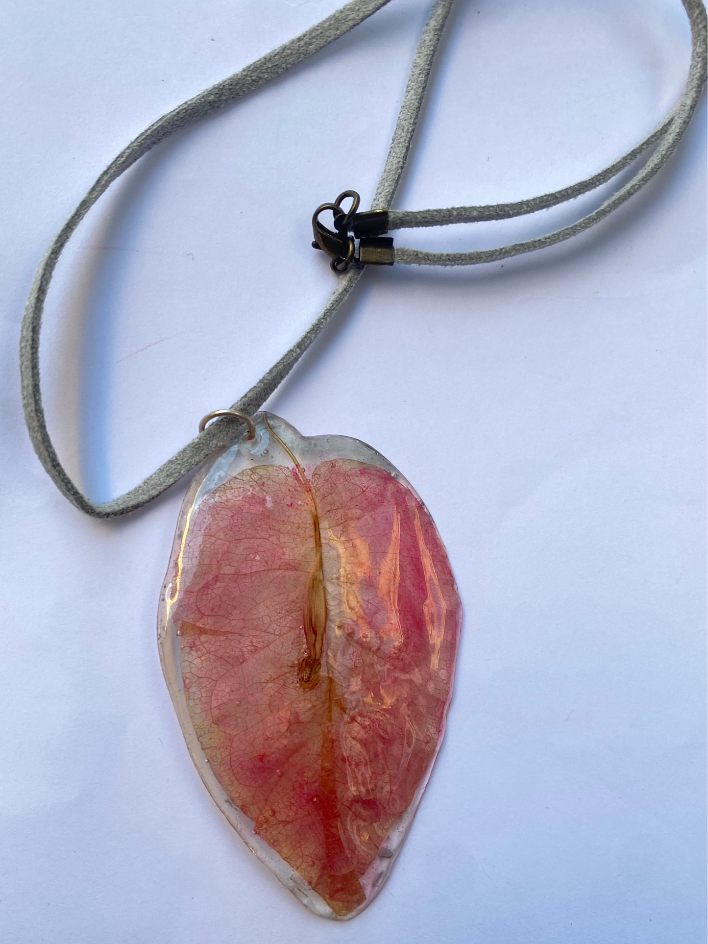 Colgante bugambilia de Coyoacán