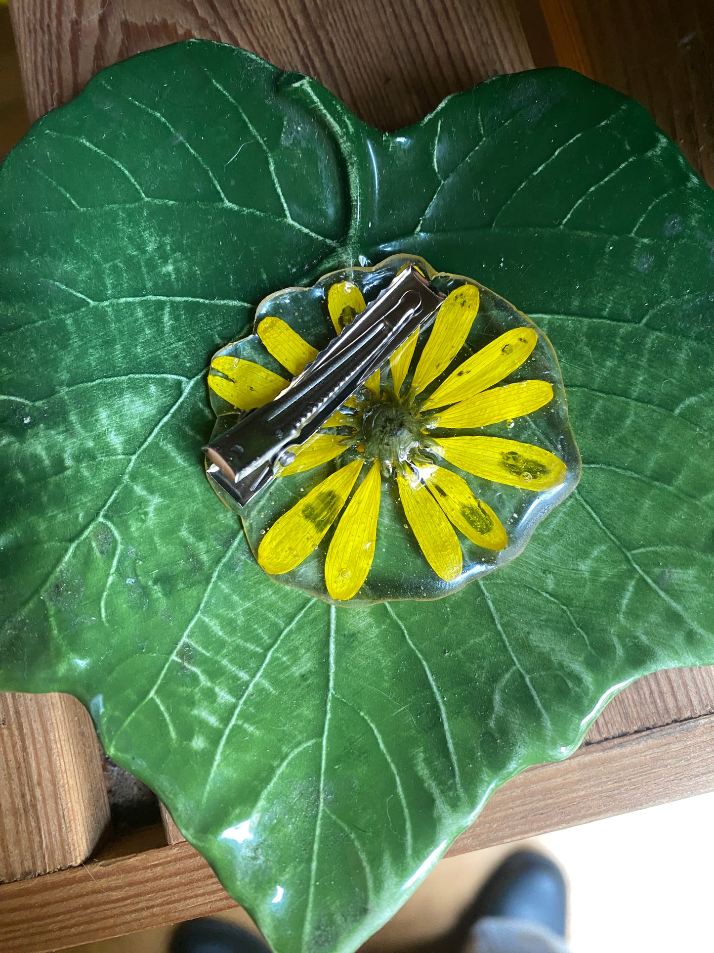 Pin Margarita del parque de la Ciudadela en Barcelona