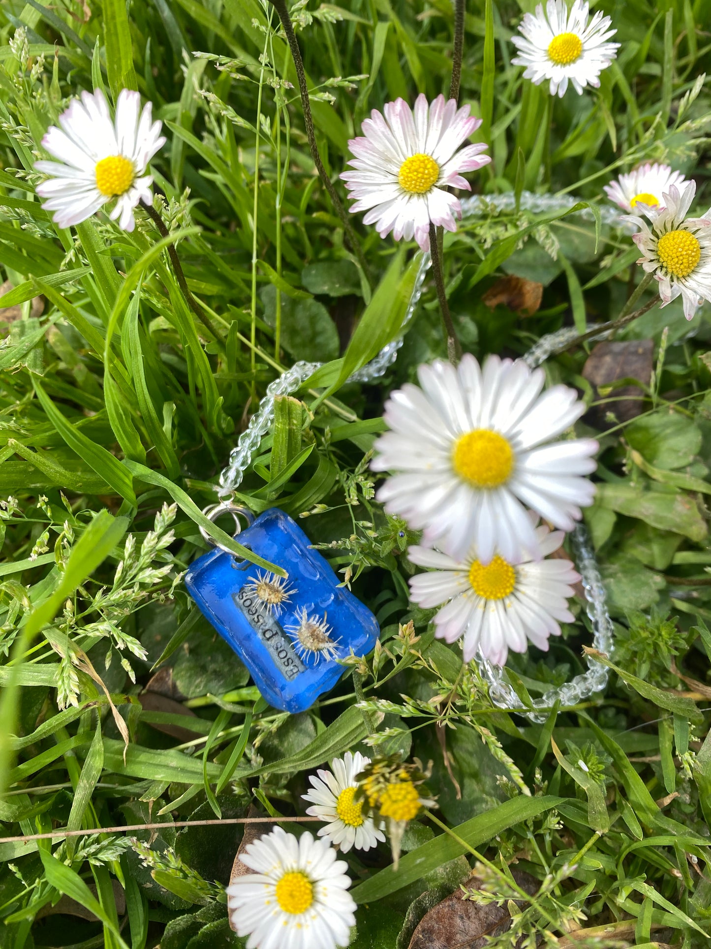 Collar “Esos Paseos”