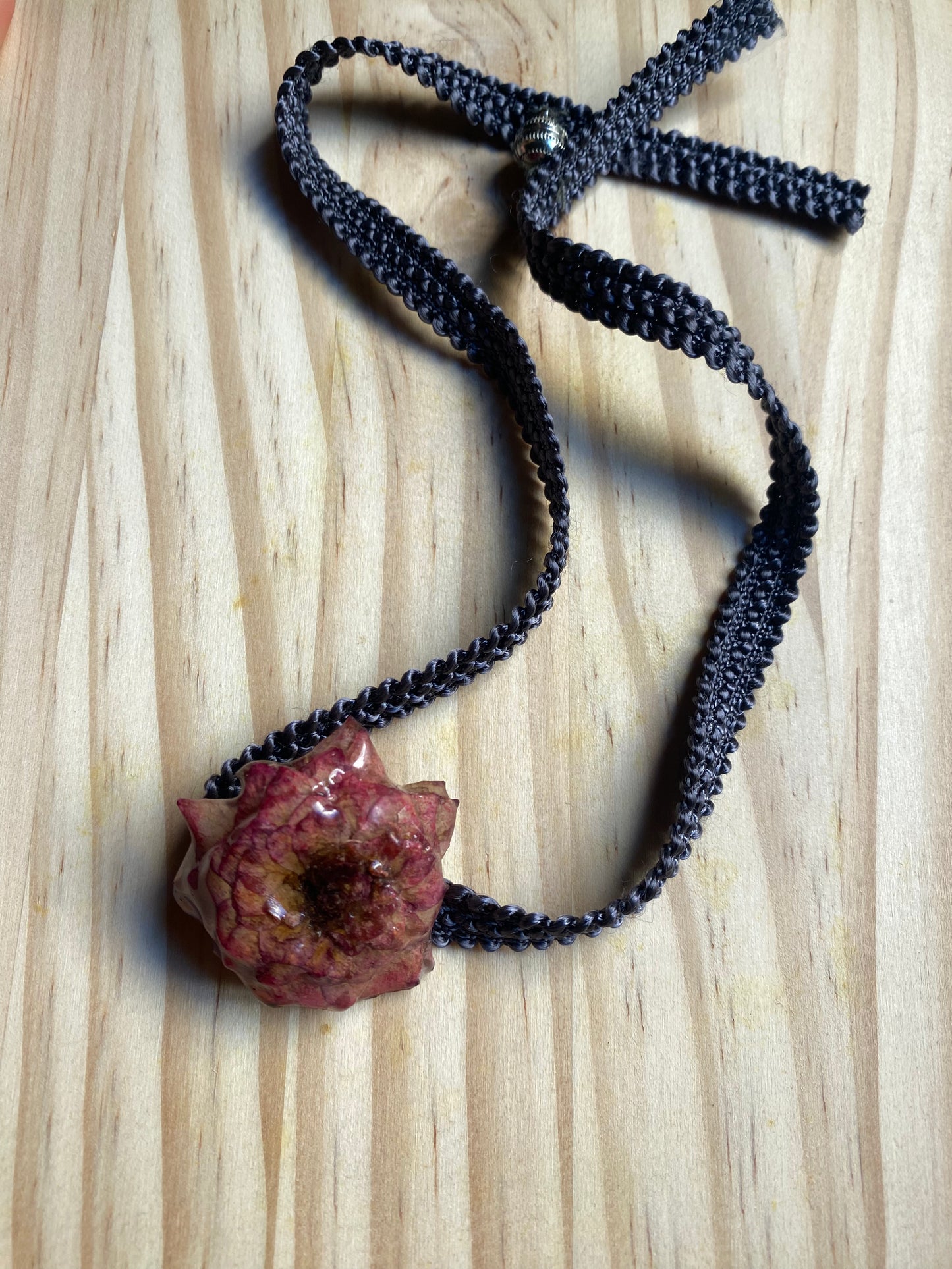 Gargantilla rosa de mi balcón
