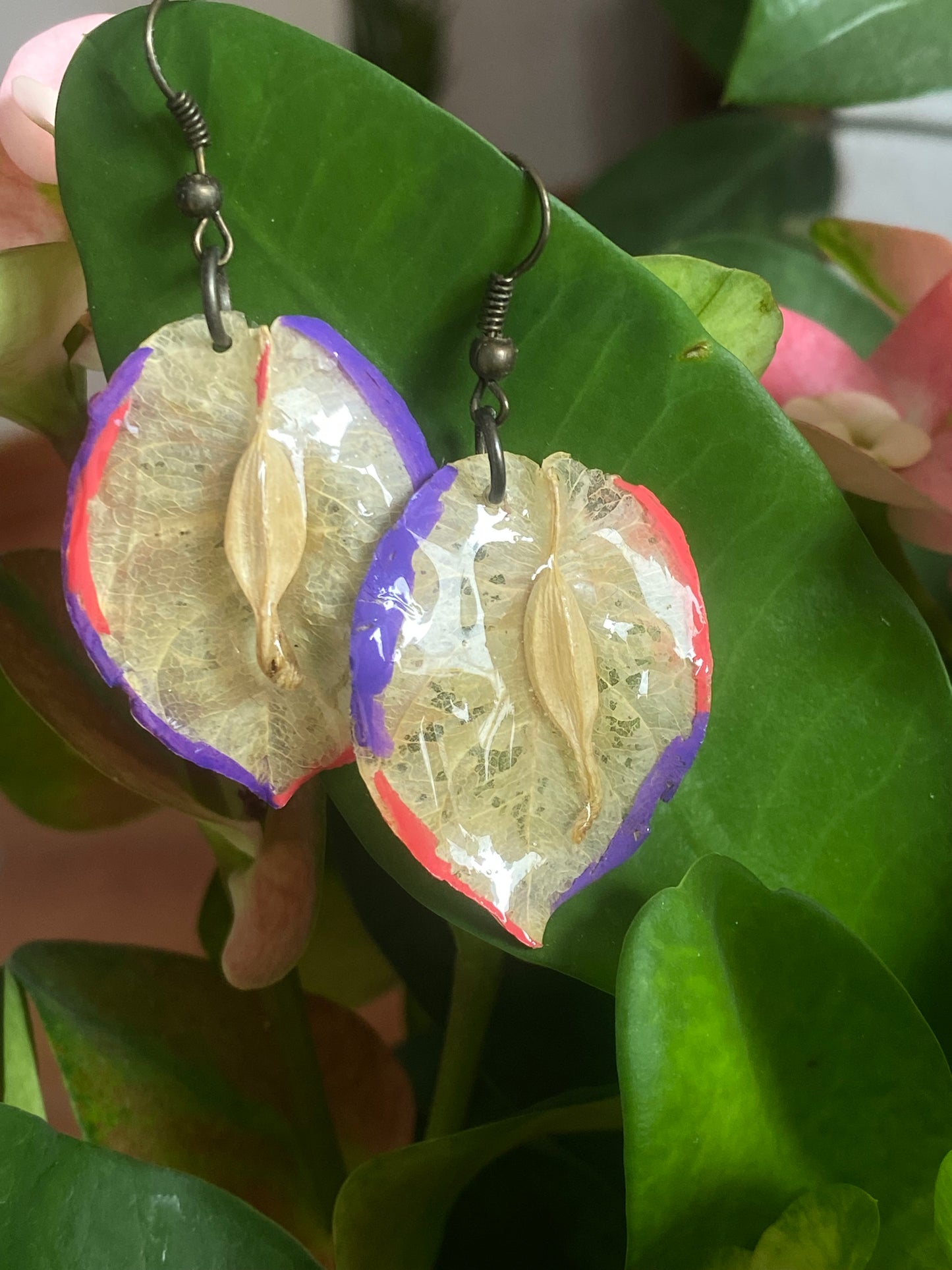 Bugambilias blancas retro