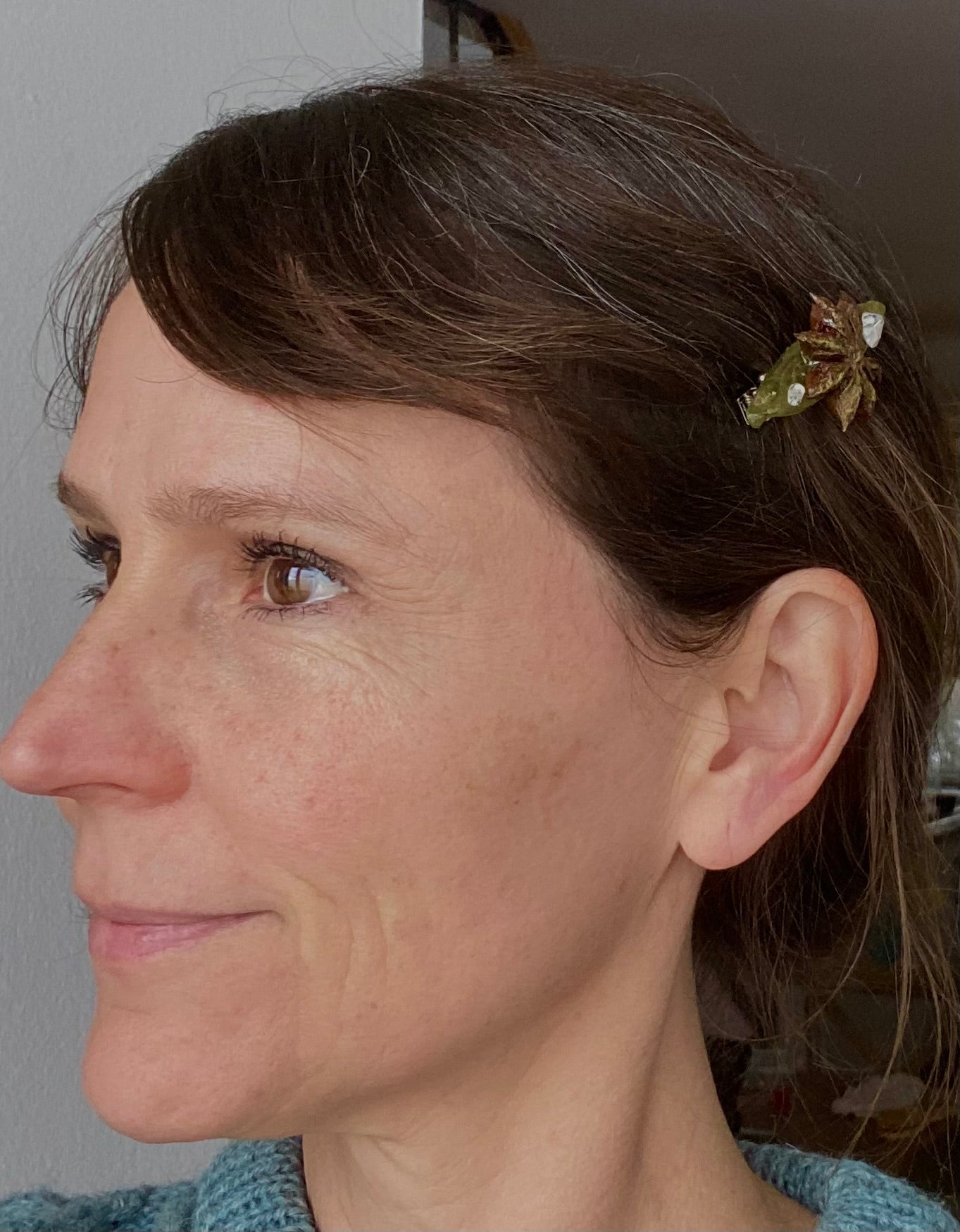 Pin estrella de Anís