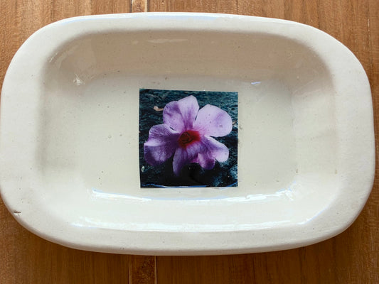 Bandejita de cerámica con fotografía botánica