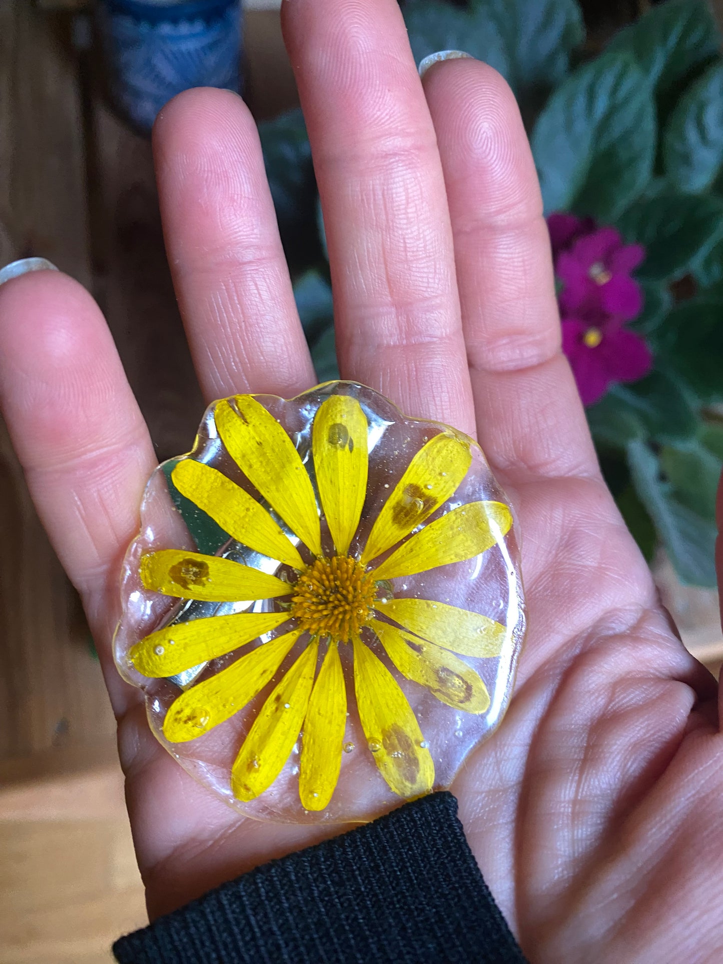 Pin de margarita del Parque de la Ciudadela