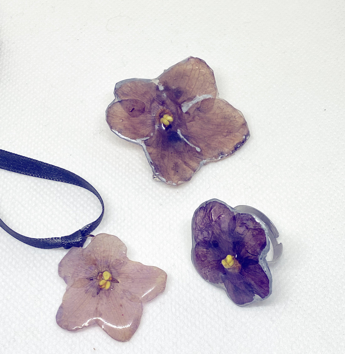 La Violeta Africana
