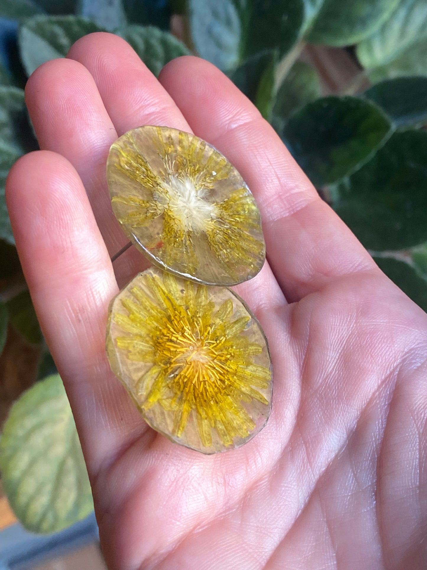 Pendientes flor diente de león