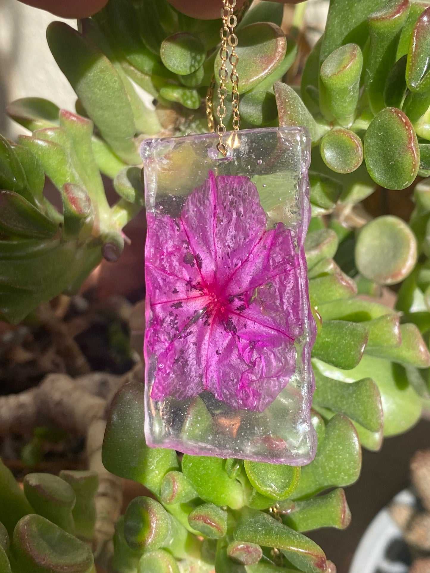 Colgante flor del muelle de la Barceloneta