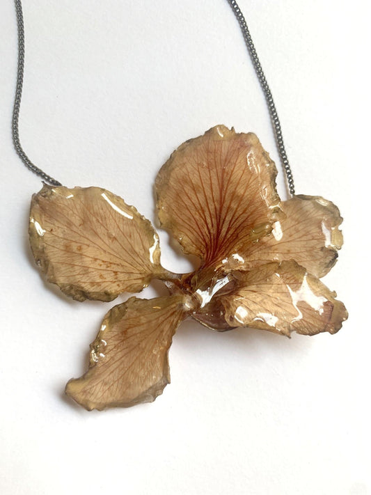 Collar flor Bahuinia