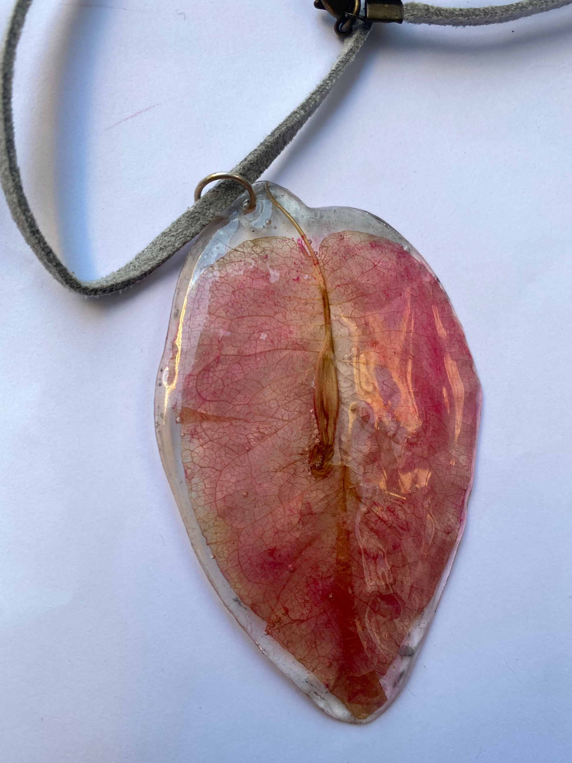 Colgante bugambilia de Coyoacan 