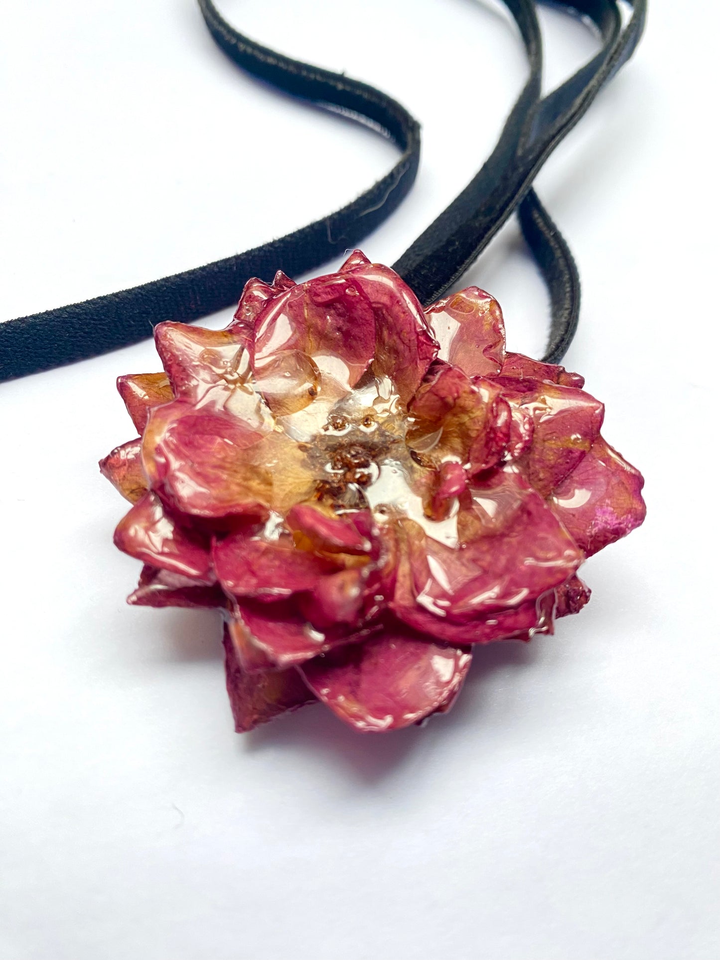 Colgante rosa de mi balcón