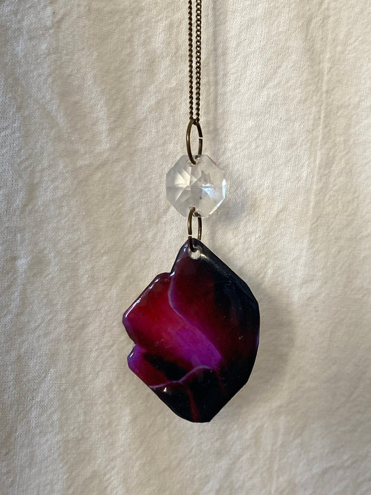 Ciclamen atrapa sueños