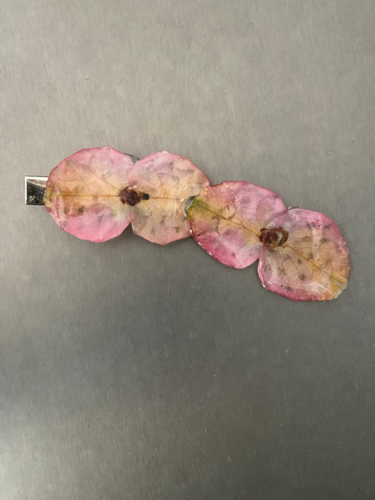 Pin flores, corona de cristo