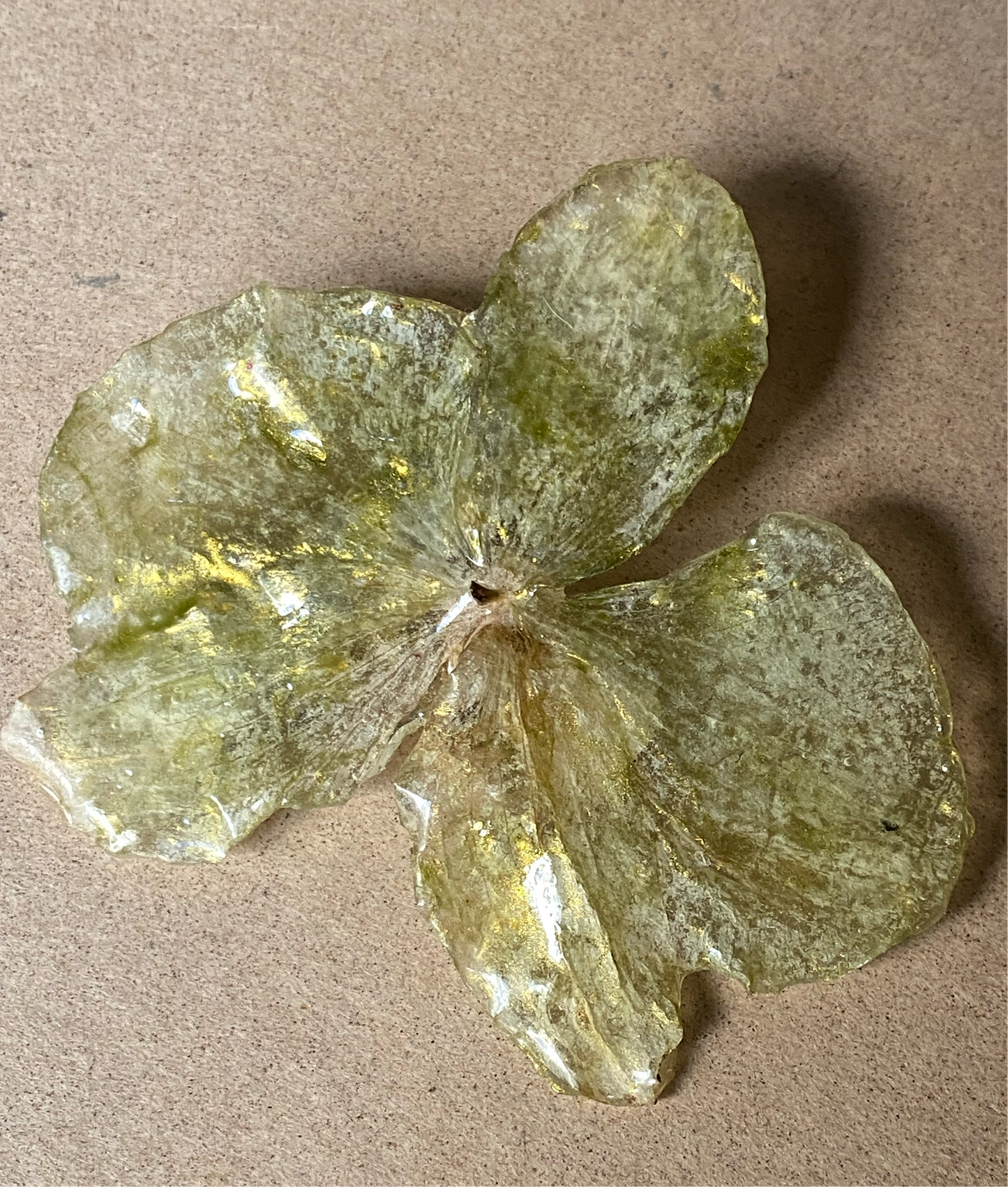 Pin Orquídea