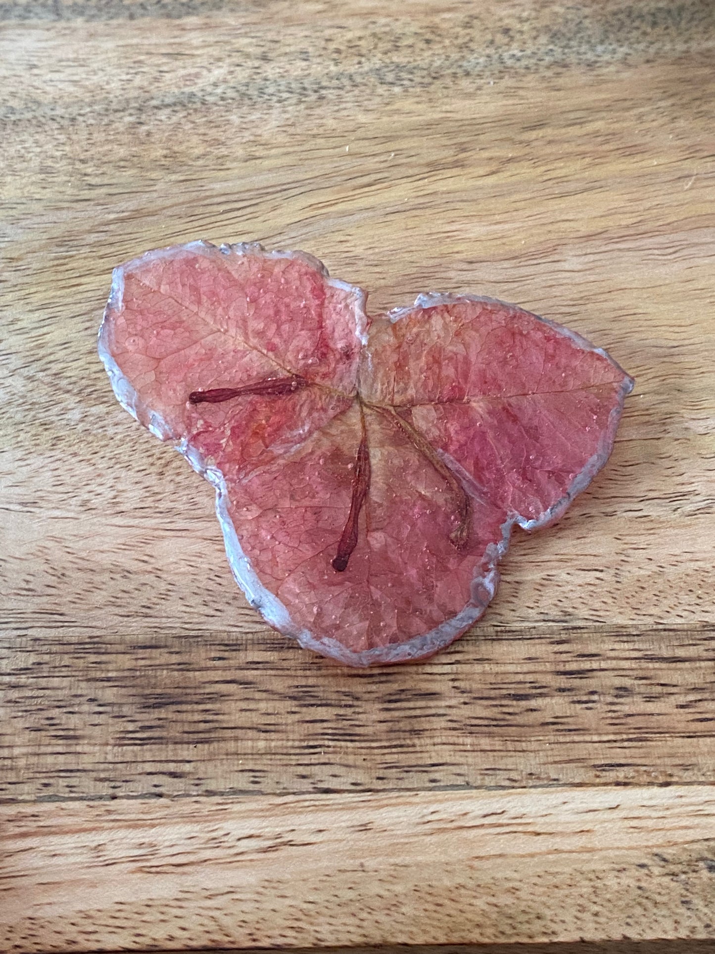 Bougainvillea brooch