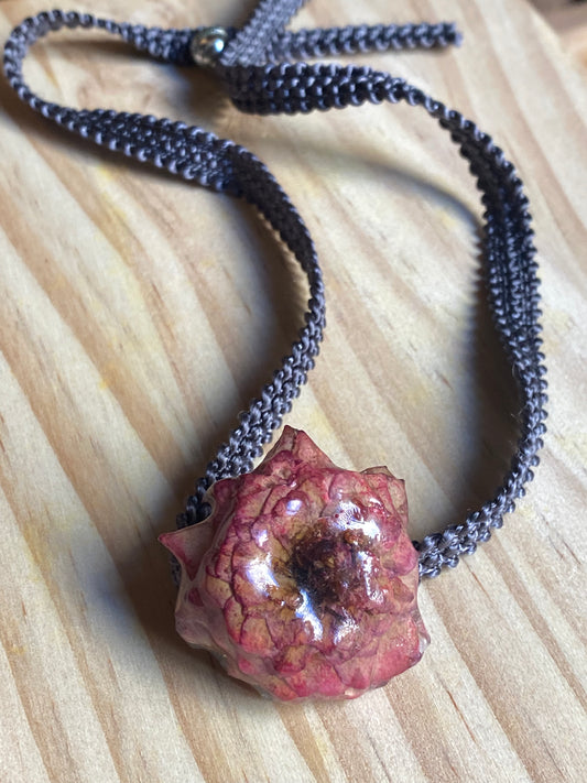 Gargantilla rosa de mi balcón
