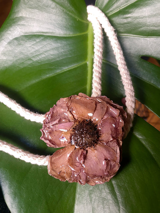 Collar rosa y cordón marinero
