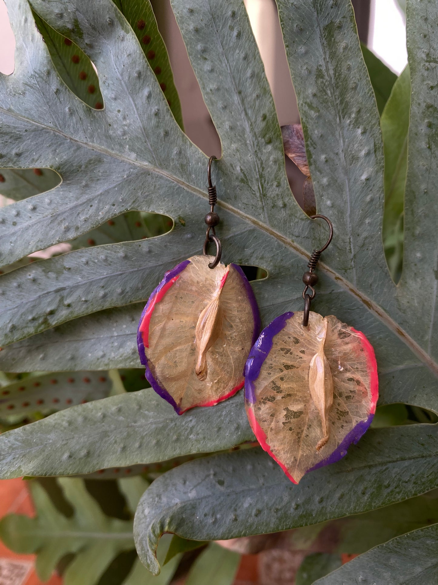 Bugambilias blancas retro