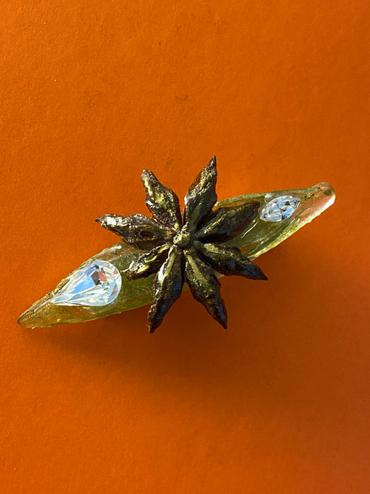 Pin estrella de Anís