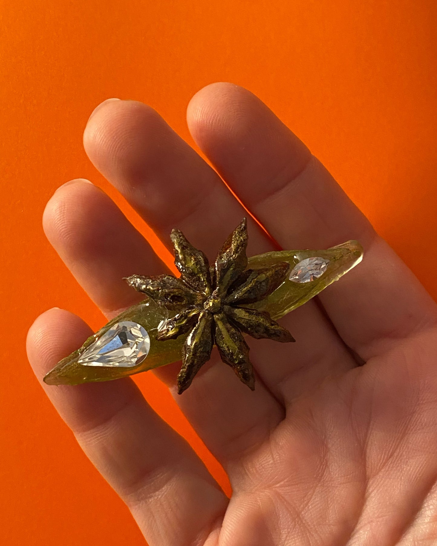 Pin estrella de Anís