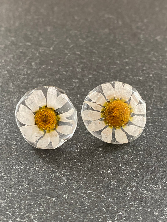 Pendientes flor de manzanilla