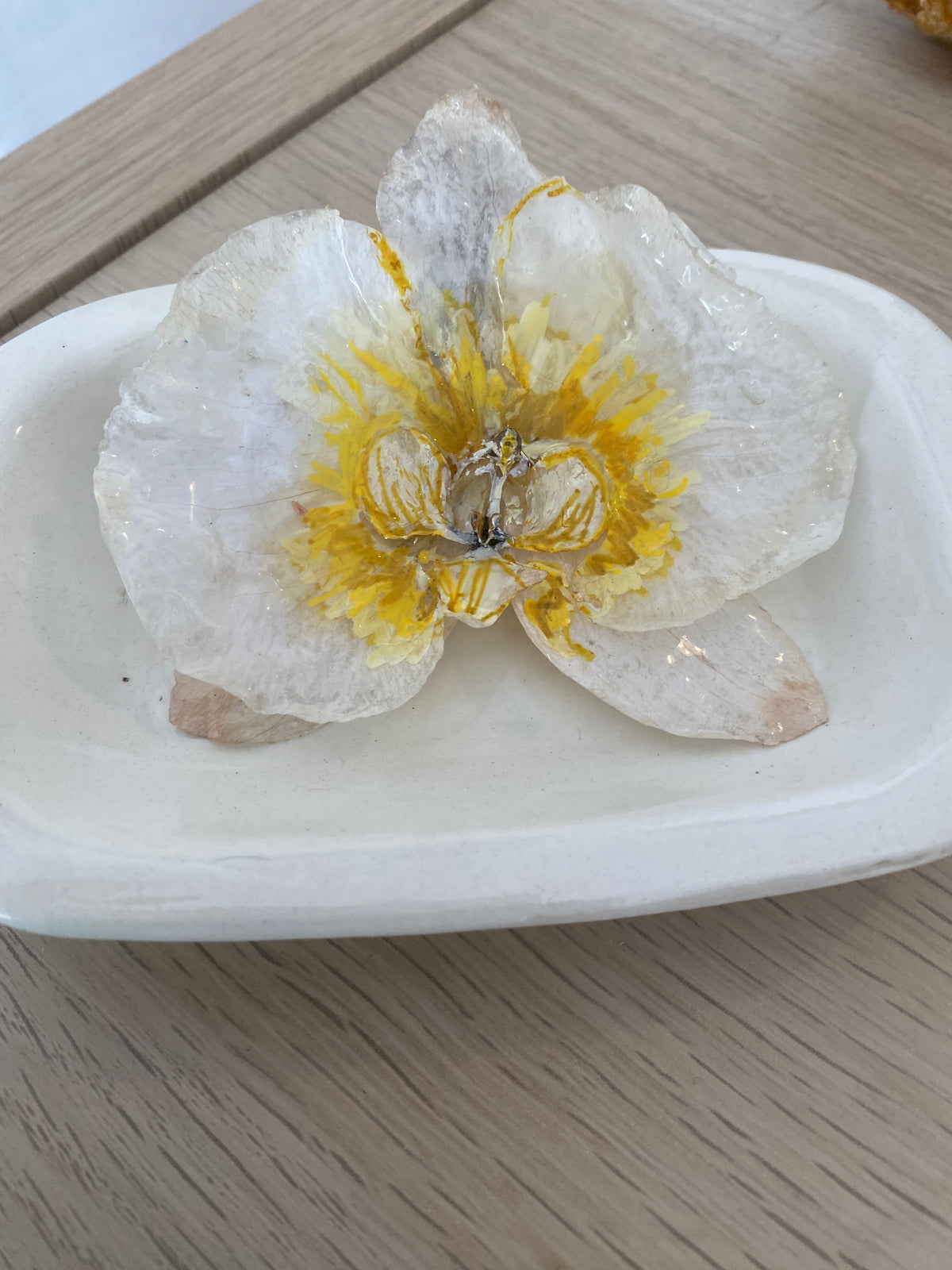 Pin Orquidea natural