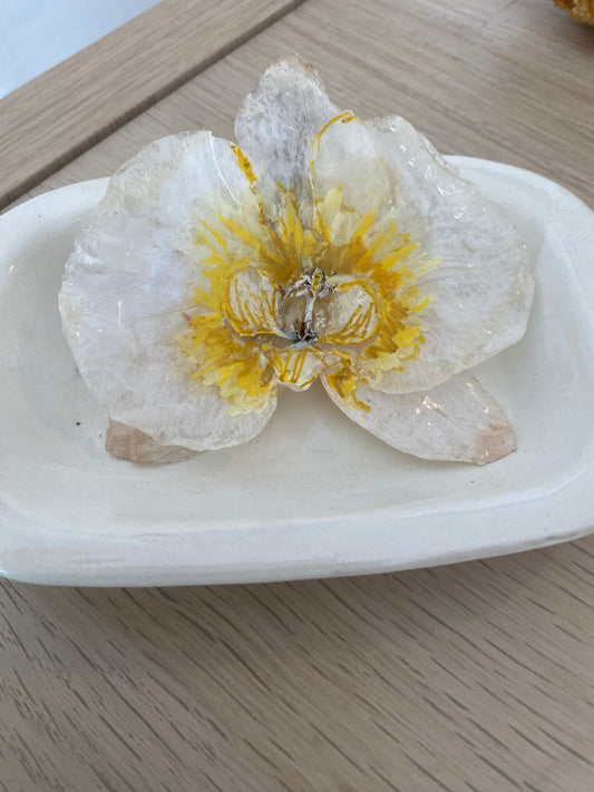 Pin Orquidea natural