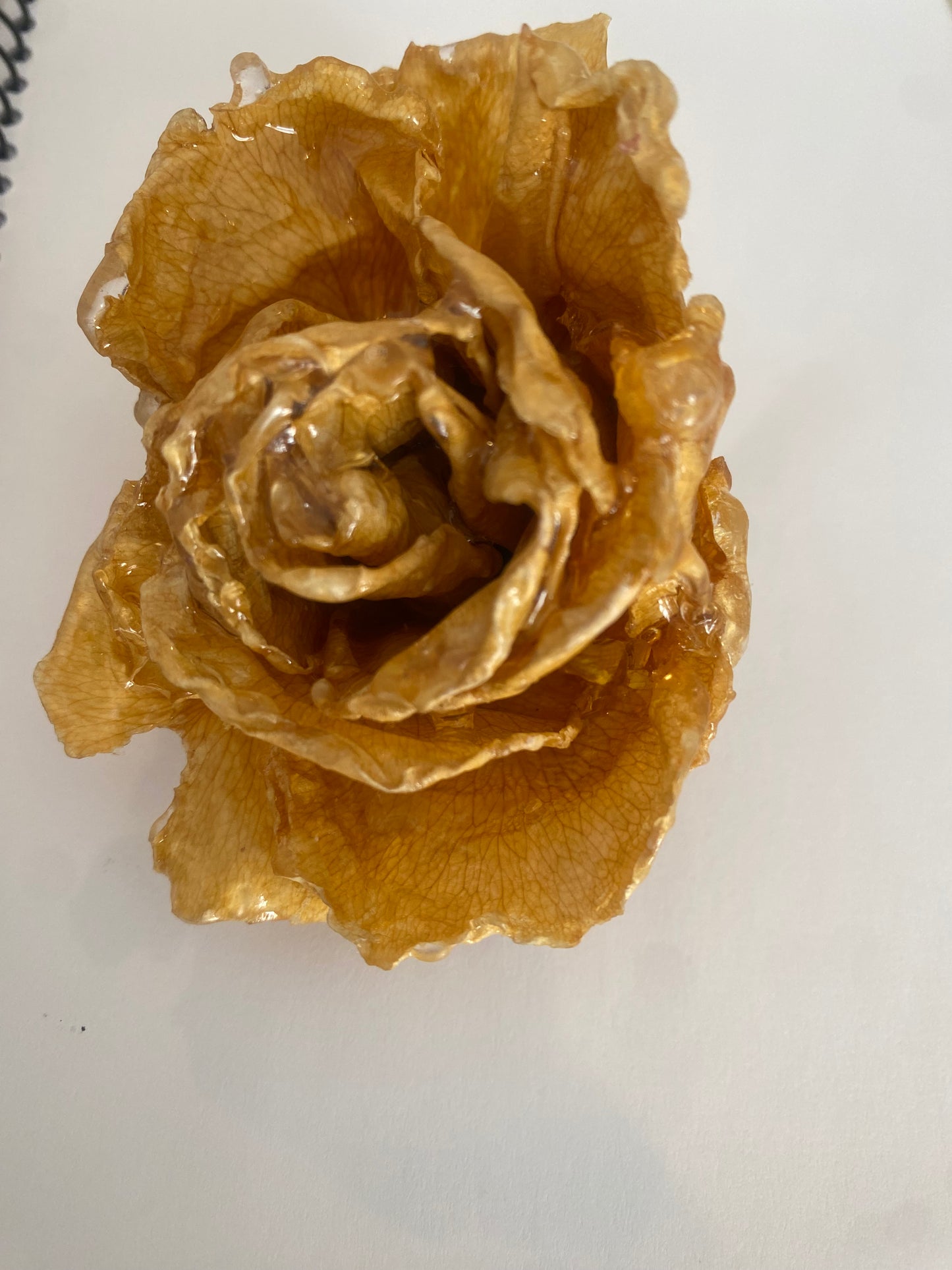 Pinza para el cabello de rosa