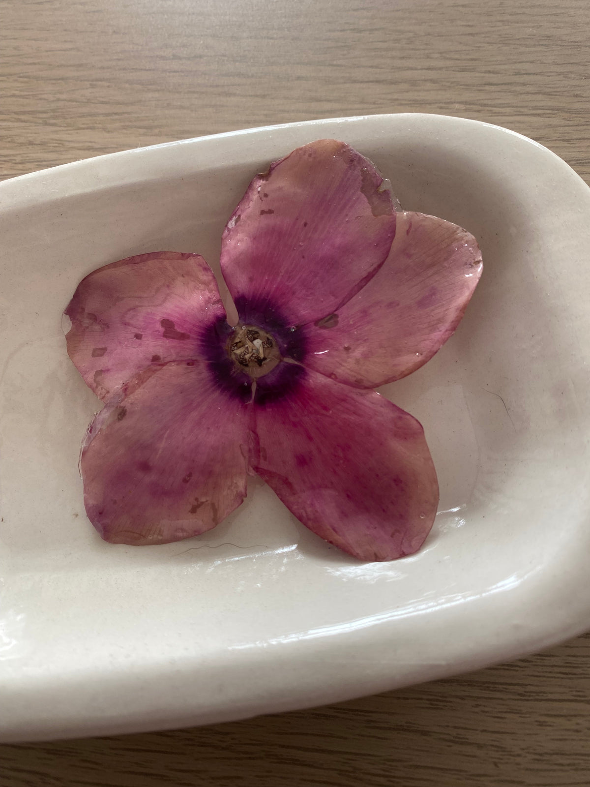 Pin Ciclamen rosa