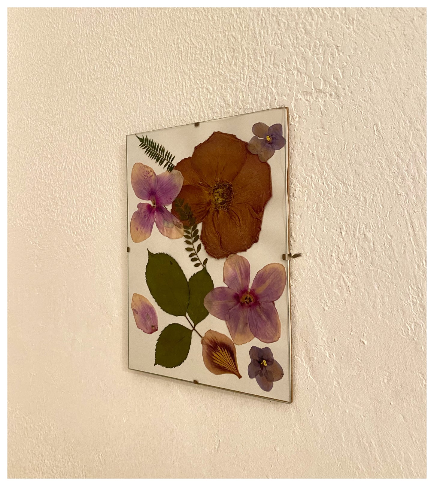 Composición floral ciclamenes