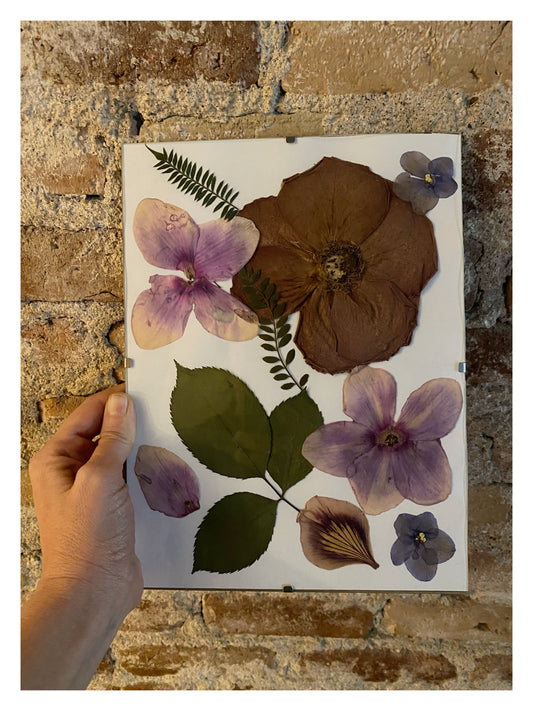 Composición floral ciclamenes