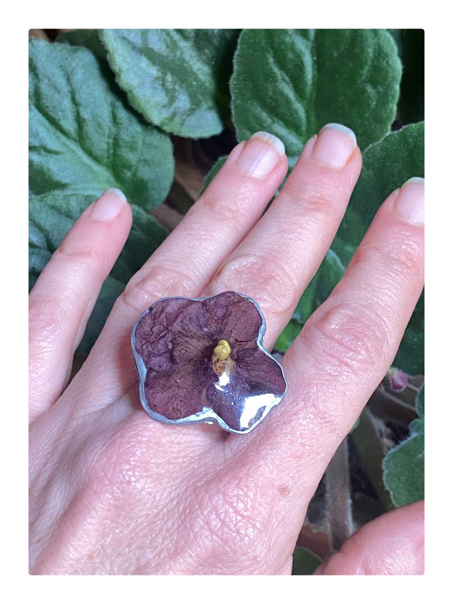Anillo Violeta