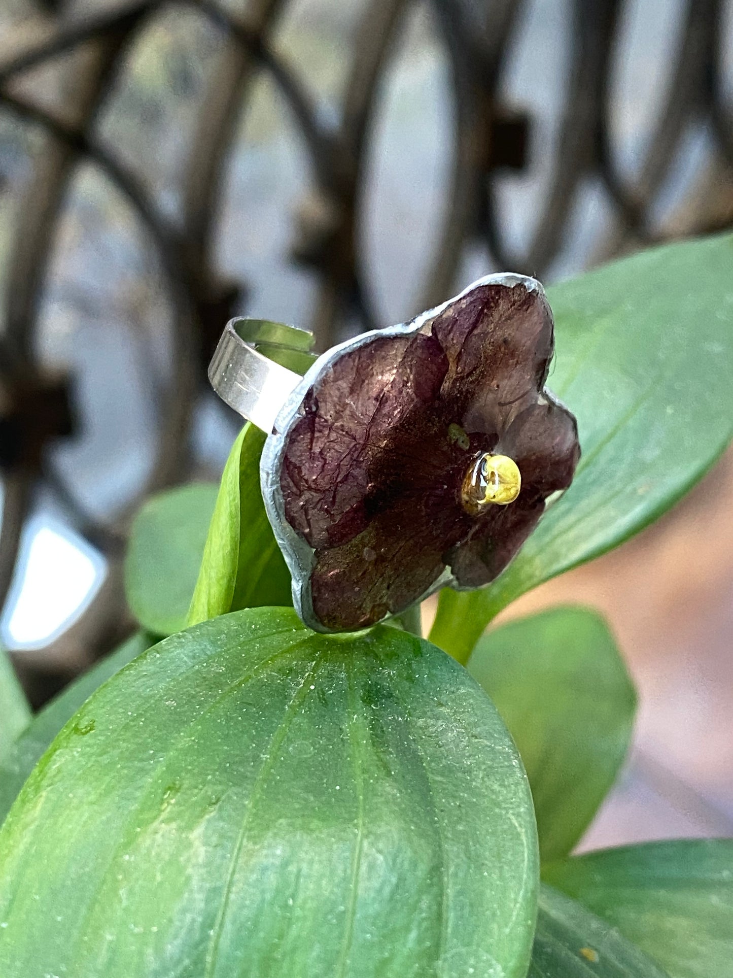Anillo Violeta