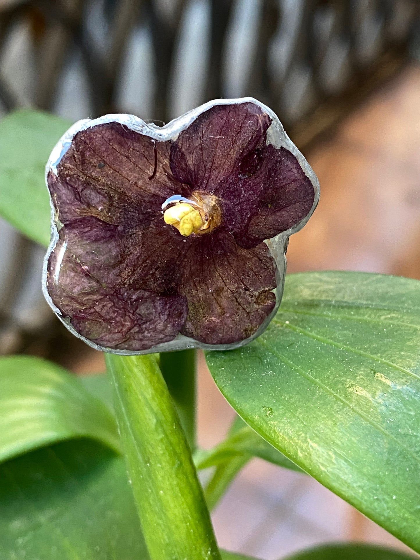 Anillo Violeta