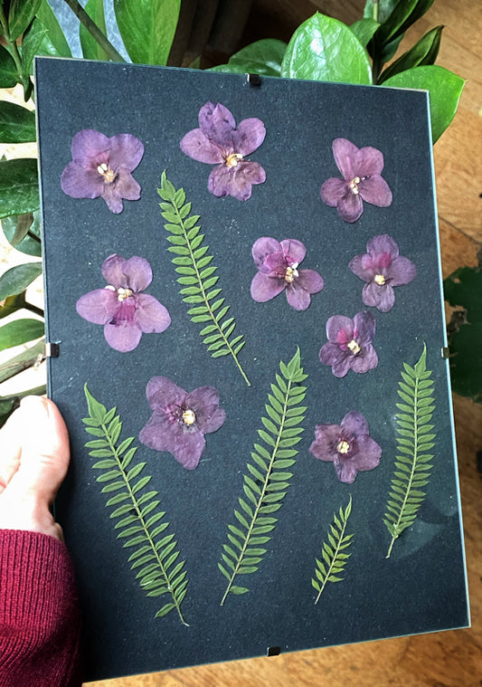 Composición botánica Violetas
